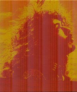 Carlos Santana & Buddy Miles-2