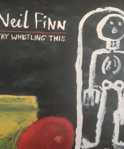 Neil Finn-0