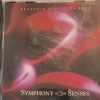 The New Millennium Orchestra-0