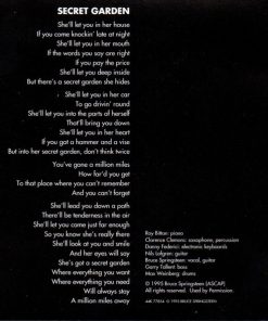Bruce Springsteen-2