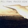 Neil Young-0