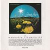 Mannheim Steamroller-0