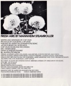 Mannheim Steamroller-3