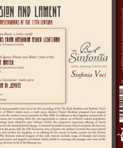The Bach Sinfonia, Daniel Abraham (2)-1