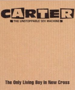 Carter The Unstoppable Sex Machine-3