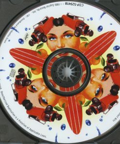 The Beach Boys-2