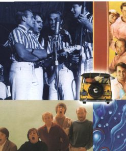 The Beach Boys-4