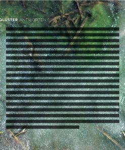 Qluster-0