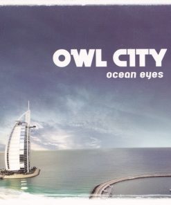 Owl City-0