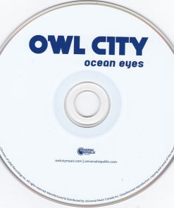 Owl City-2