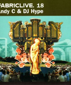 Andy C & DJ Hype-0