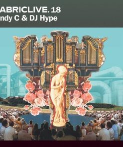 Andy C & DJ Hype-1