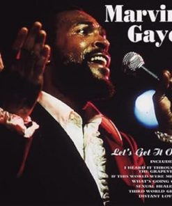 Marvin Gaye-0