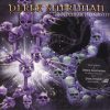 Derek Sherinian-0
