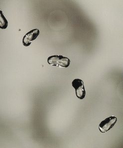 Peter Gabriel-0