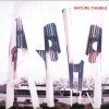 Ariel Pink's Haunted Graffiti-0