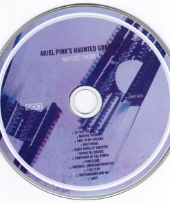 Ariel Pink's Haunted Graffiti-3