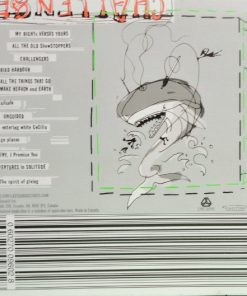 The New Pornographers-1