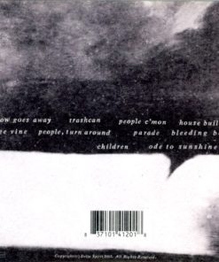 Delta Spirit-1
