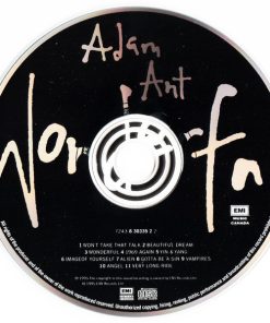 Adam Ant-2