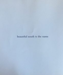 The Beautiful South-3