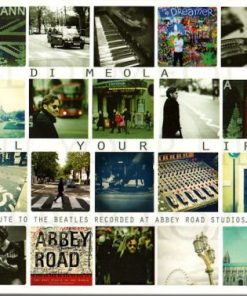 Al Di Meola-0