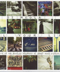 Al Di Meola-2