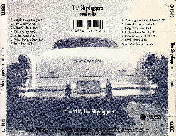 Skydiggers-1