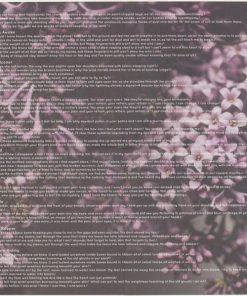 Boreal Sons-4