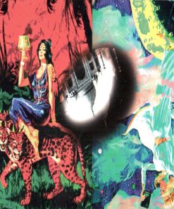 The Black Crowes-4