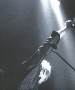 Tom Cochrane-4