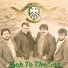 The Irish Descendants-0