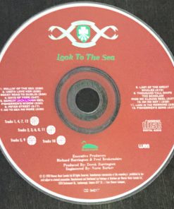 The Irish Descendants-1