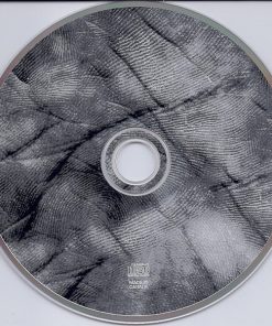 Andy Stochansky-3