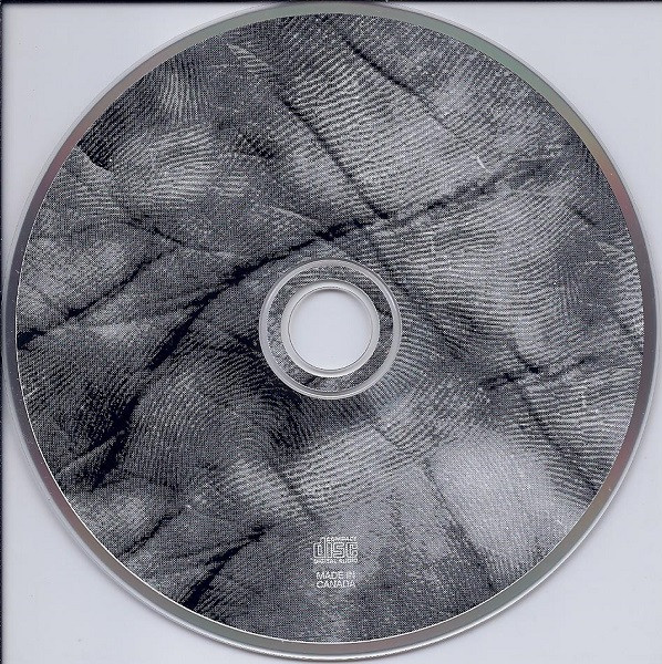 Andy Stochansky-3