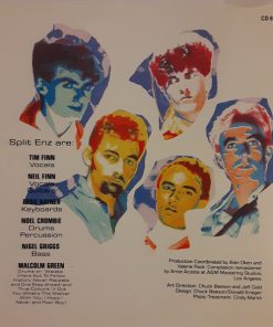 Split Enz-2