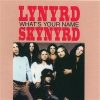 Lynyrd Skynyrd-0