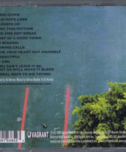 Dashboard Confessional-2