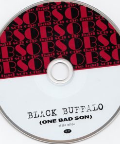 One Bad Son-2