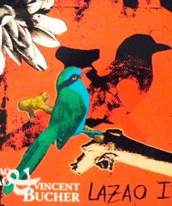 Tao Ravao & Vincent Bucher-0