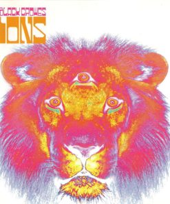 The Black Crowes-0