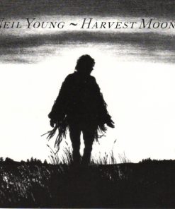 Neil Young-0