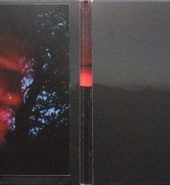 Piers Faccini-1