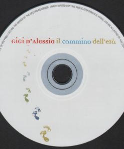 Gigi D'Alessio-2