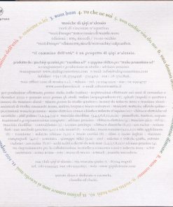 Gigi D'Alessio-4