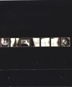 Dieterich Buxtehude - De Nederlandse Bachvereniging, Jos van Veldhoven, Anne Grimm, Johannette Zomer, Peter De Groot, Andrew Tortise, Bas Ramselaar-1
