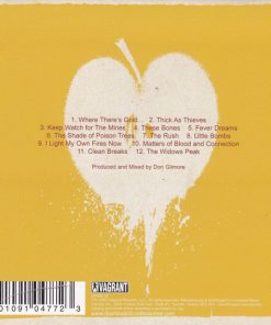 Dashboard Confessional-1
