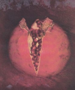 Loreena McKennitt-3