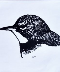Warbler-2
