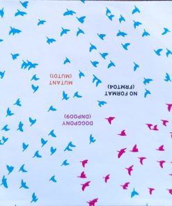 Warbler-3
